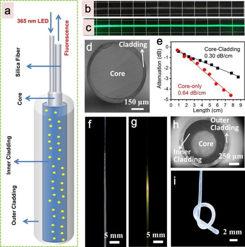 华南理工大学张勤远团队开发Mn2+掺杂双波长发射材料，推动可穿戴光纤温度传感器与成像应用
